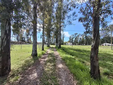 LOTE EN VENTA "LA ELVIRA"