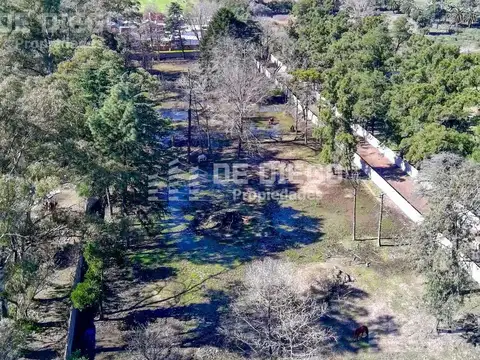 Terreno en Venta de 9736,0 m2