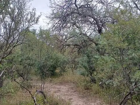Terreno en Venta de 24899,0 m2