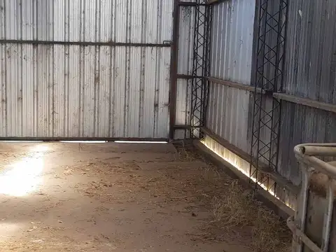 VENTA DE PLANTA OLEAGINOSA EN LOBERÍA