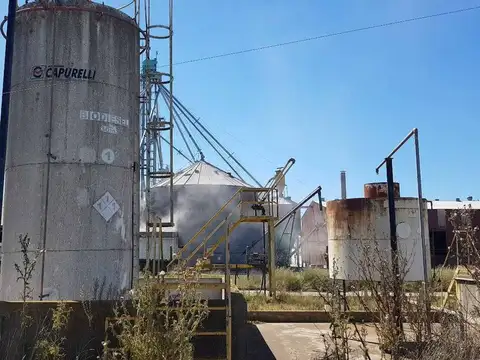 VENTA DE PLANTA OLEAGINOSA EN LOBERÍA