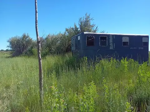 ALQUILER DE CHACRA 6 HECTAREAS