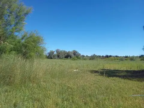 ALQUILER DE CHACRA 6 HECTAREAS