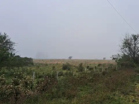 Campo en Estacion Yerua