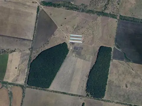 Campo en Venta en Estacion Yerua, Concordia