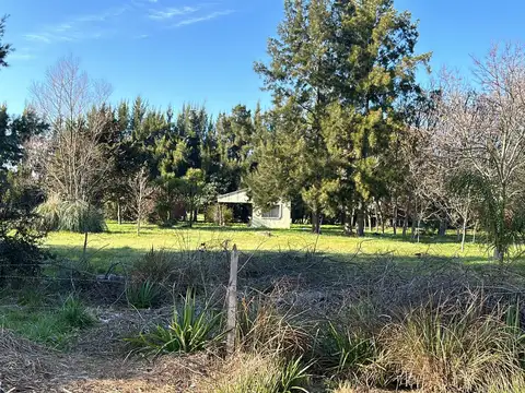 De Las Gallaretas 100