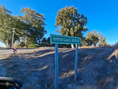 Terreno en Venta en El Bosque, Angaco
