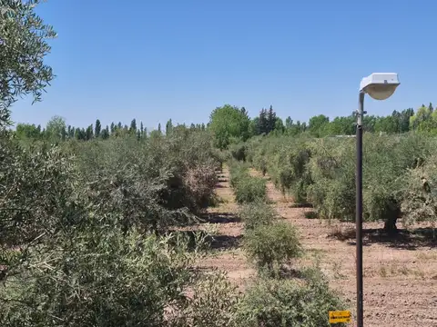 Ozamis Sur 2800