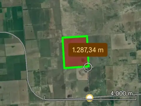 CAMPO MIXTO DE 137 Ha EN PROVIDENCIA, SANTA FE
