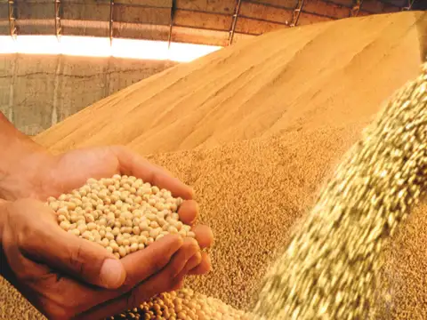 Campo en Venta Agrícola