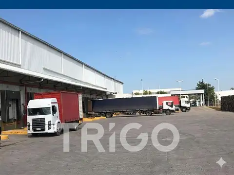 Galpon en Alquiler A Estrenar