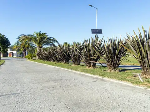 Las  Tinajas -Ruta 7 y José María Perez*