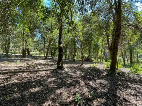 Terreno en Venta en Villa la Angostura, Los Lagos