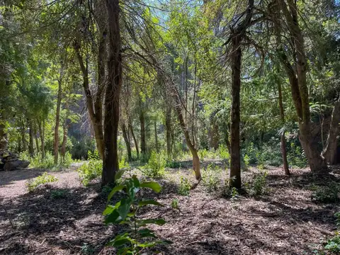 Venta lote Villa La Angostura