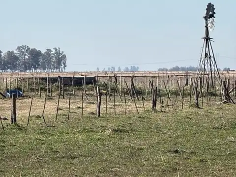 VENTA CAMPO DE 127 HECTAREAS R.N. 3 GRAL. BELGRANO