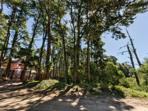 Terreno en Venta de 289,0 m2