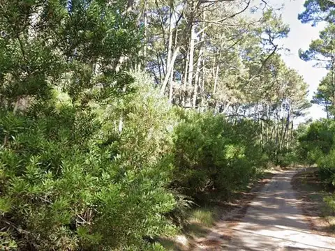 Terreno en Venta 30  mts Fondo