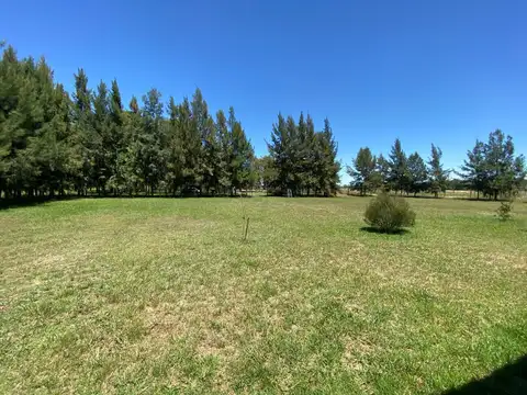 Terreno en Venta de 2900,0 m2