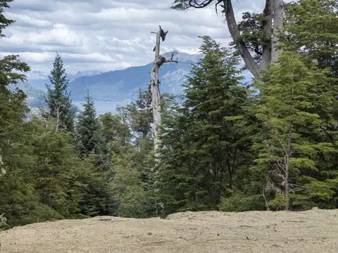 Terreno en Venta de 1113,0 m2