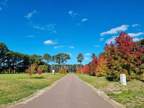 Pinares Country Club