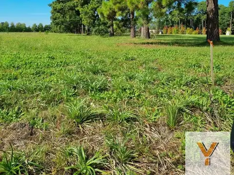 Terreno en Venta de 1600,0 m2