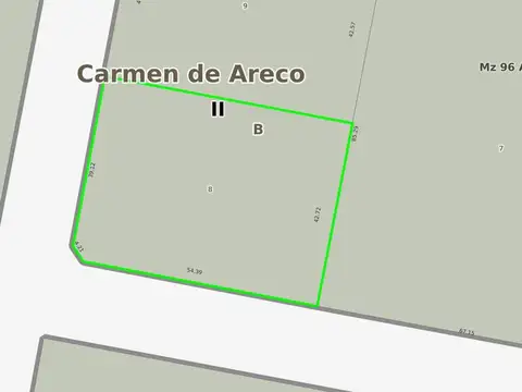 Alberti y Rosa Balzarett