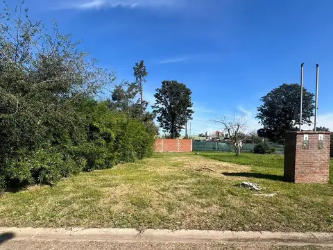 Asuncion y Mendoza