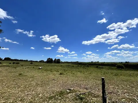 Campo 71 ha con costa de arroyo – Maldonado