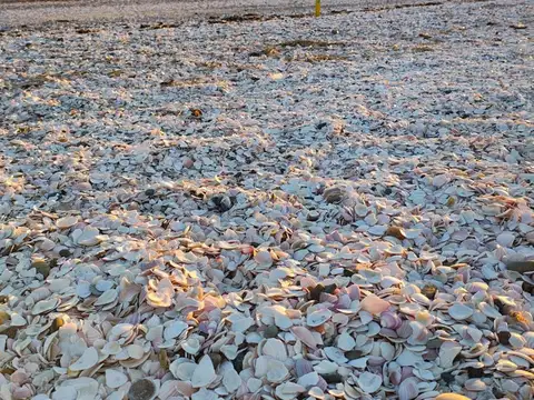 Departamento en Alquiler Temporal al Oeste