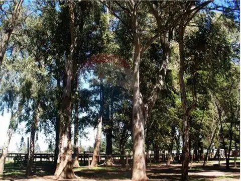 Terreno en Venta de 110000,0 m2