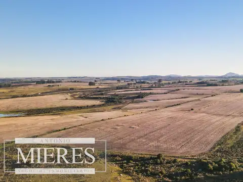 Campo en venta de 33 ha Próximo a laguna del Sauce 