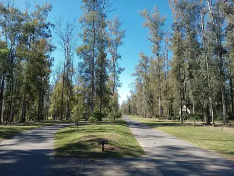 Terreno en  venta campo timbo