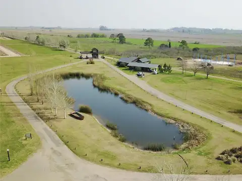 Campo Timbo- Lote D 258