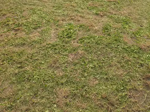 Terreno en Venta de 1000,0 m2
