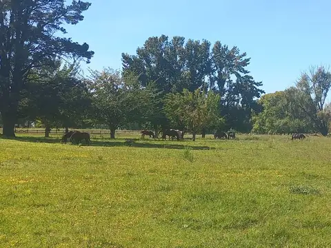 Terreno en Venta de 170000,0 m2