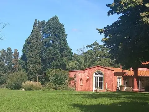 avenida mitre e isla belgrano Fatima