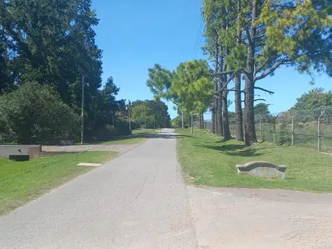 avenida mitre e isla belgrano Fatima