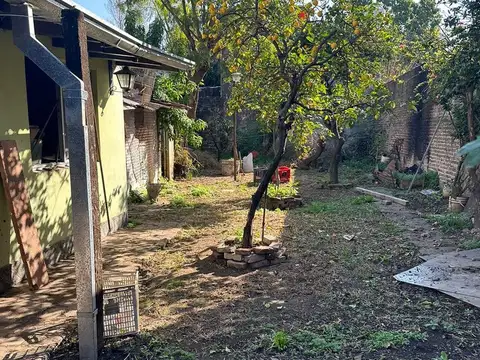 OLAGUER FELIU  al 5000