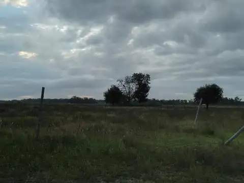 Venta  terrenos La Reja
