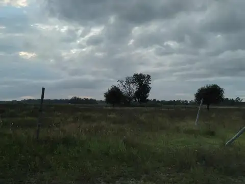 Terreno en Venta de 920,0 m2