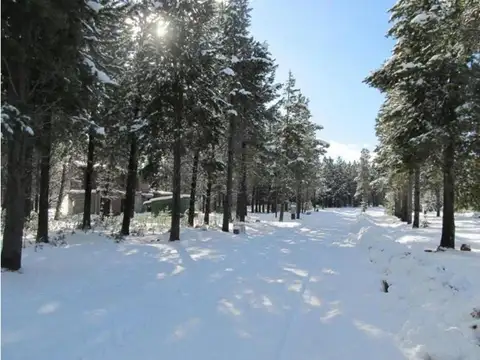 Ruta 40