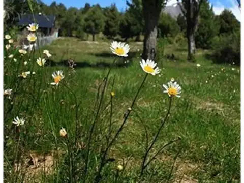 Hermoso terreno plano en Barrio Dos Valles