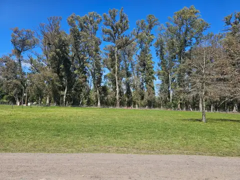 Av. Beschted  s/n. Barrio La Elina, Comarcas de Luján.