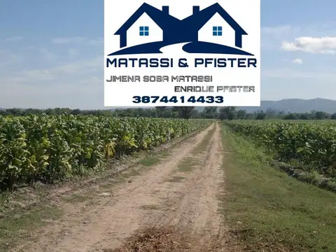 Campo en Venta Agrícola