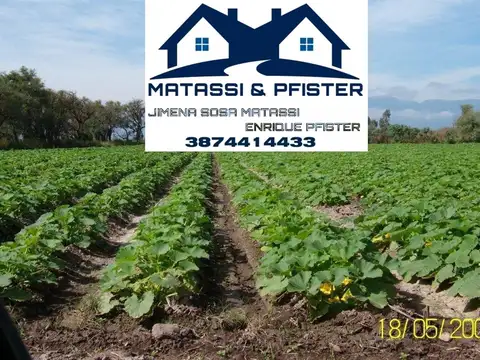 Campo en Venta de 222  ha