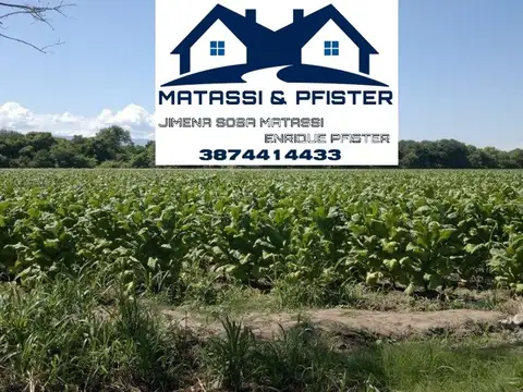 Campo Productivo Pampa Blanca Jujuy