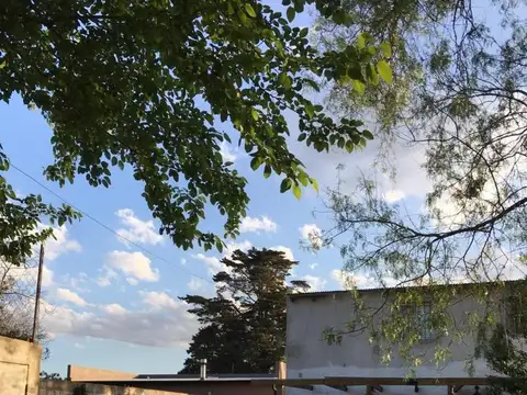 Casa en Alquiler - 2 Dormitorios 1 Baño - 290mts - La Plata