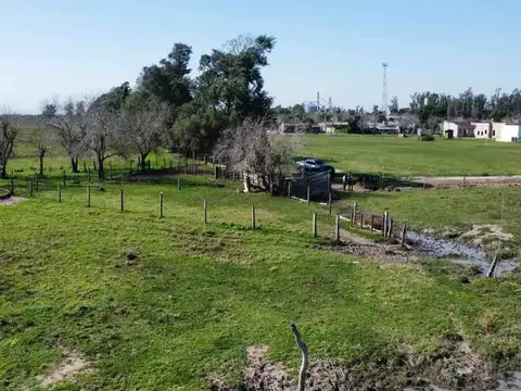 CAMPO mixto en Arroyo Ceibal (Santa Fe)