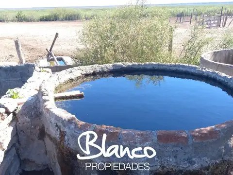 Campo  en Venta en 25 De Mayo, Puelen, La Pampa