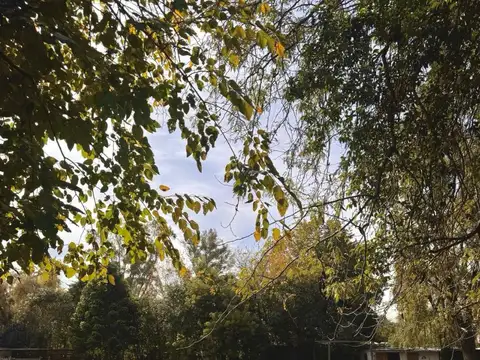 Domingo Martínez de Irala al 1600